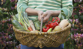 Produits Bio au Bio Marché Belleville 75019 Paris