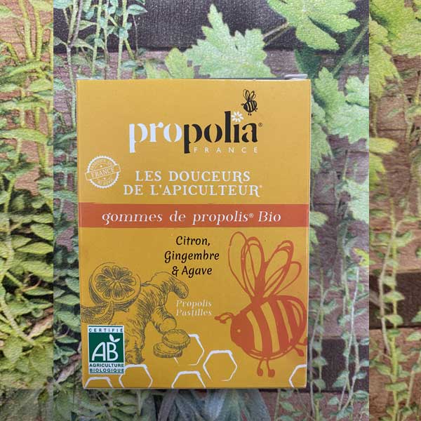 Gomme de propolis