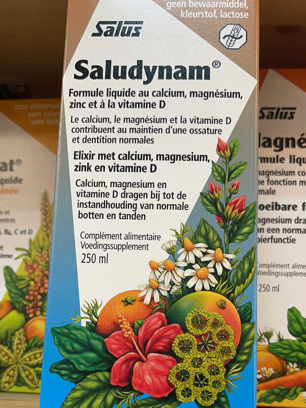 Saludynam