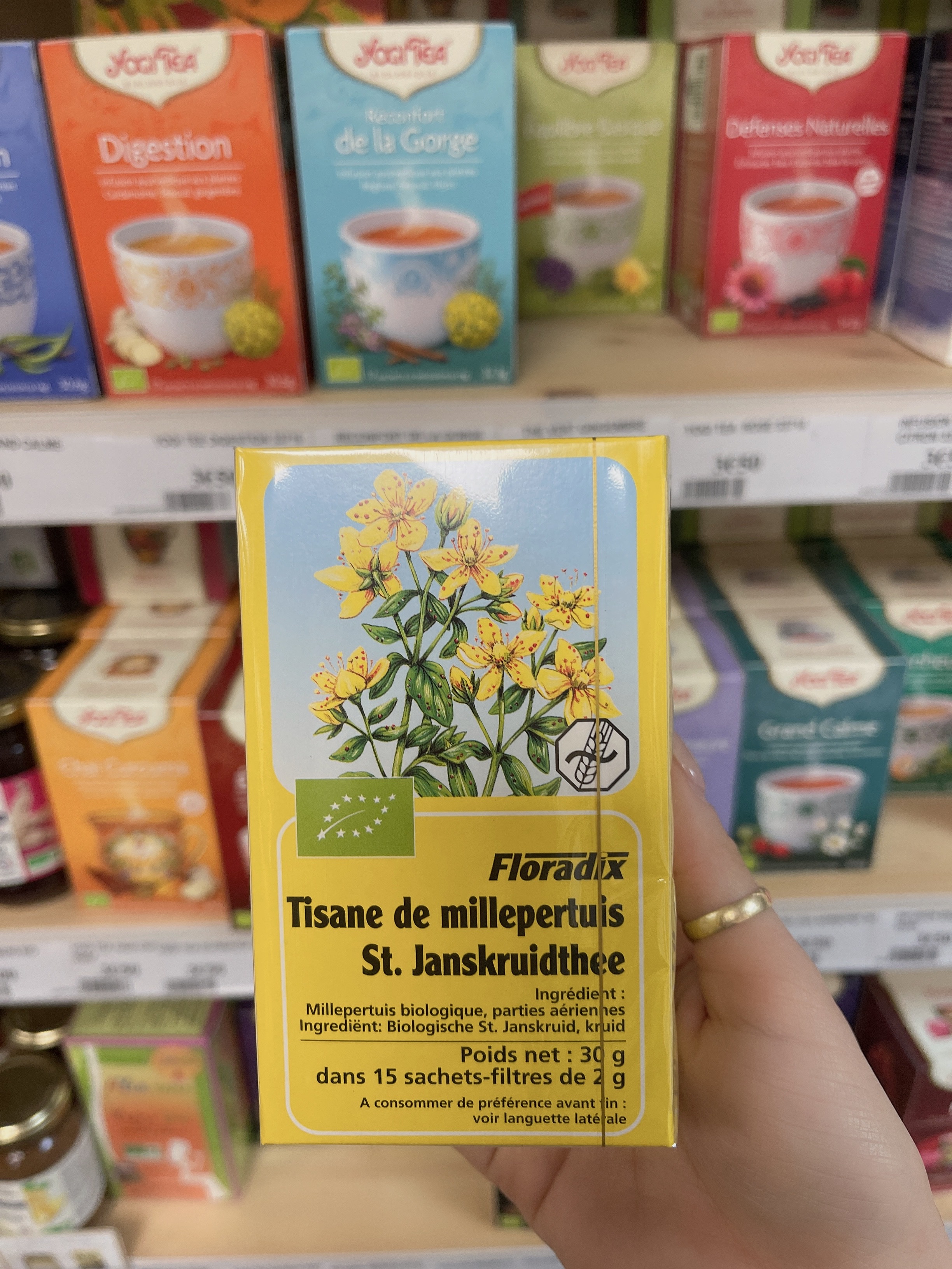 Tisane Pissenlit bio