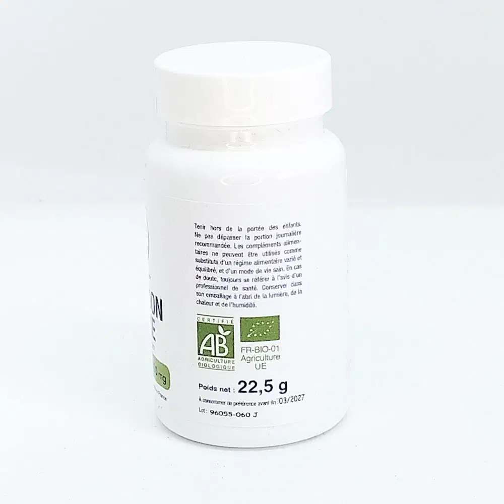 Confort digestif et vitalité : CHARDON-MARIE