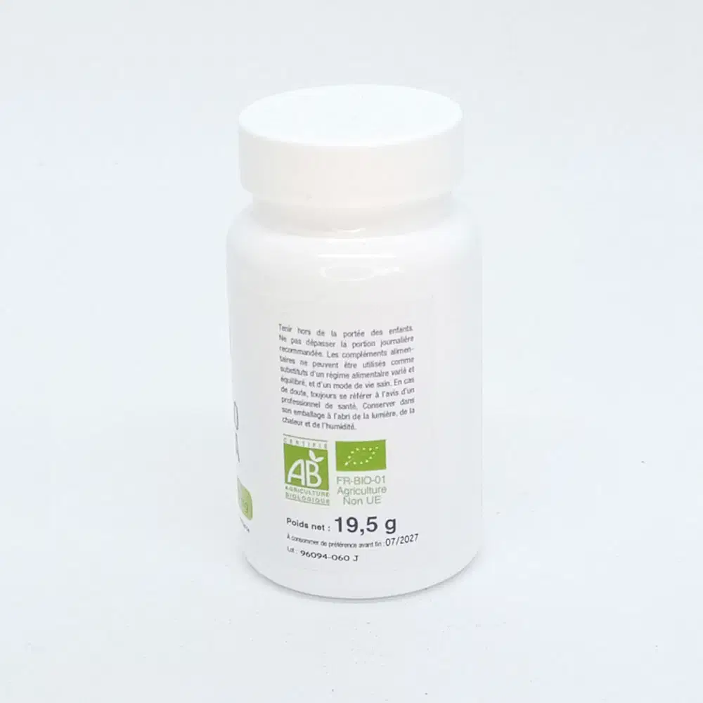 Confort système nerveux : GINKGO BILOBA