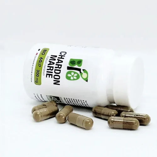 Confort digestif et vitalité : Chardon-Marie