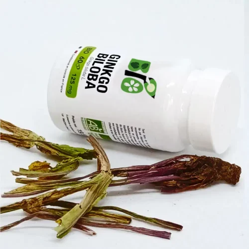 Ginkgo biloba - UGS : 3701554300680 Confort système nerveux